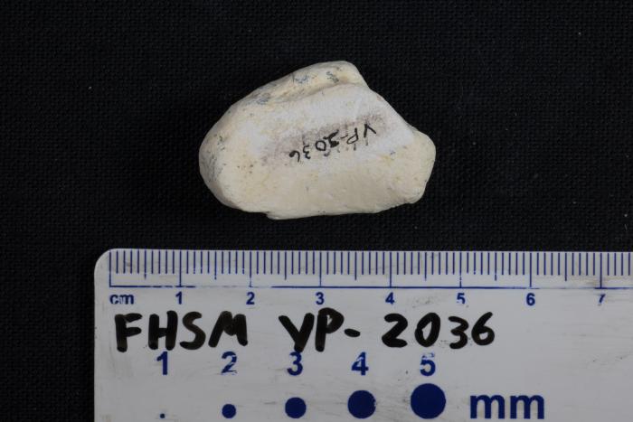 FHSM VP-2036