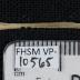 FHSM VP-10565