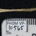 FHSM VP-10565