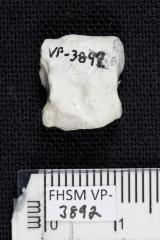 FHSM VP-3892