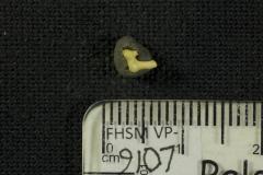 FHSM VP-9107